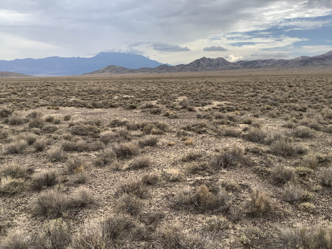 Scenic 10 Acres in Pilot Valley, Elko County, NV – Ready for Your Vision!